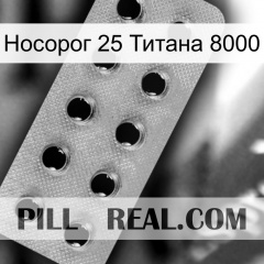 Носорог 25 Титана 8000 28